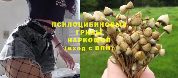 соль курить ск Елабуга