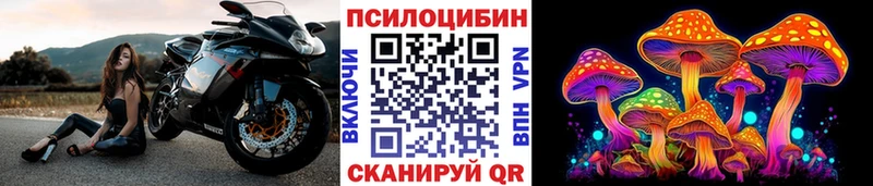Купить где  Кизел  Галлюциногенные грибы Psilocybine cubensis 